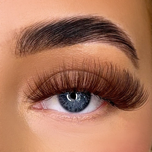 MAPLE - Brown Lash